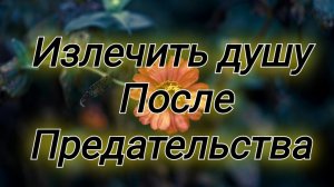 Излечить свою душу! Вместе с Богом это возможно 🌤