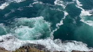 Тихий Океан