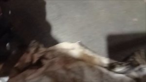 СНЕГОСАМОКАТ