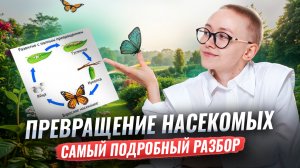 Превращение насекомых | Подробный разбор для ОГЭ по биологии | Елена Зеленская | Умскул