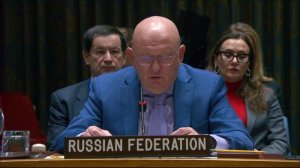Statement by Vassily Nebenzia at UNSC Briefing on Ukraine