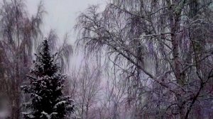 Снегопад в Жилёво