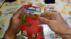 Выбрала томаты для теплицы, было трудно.