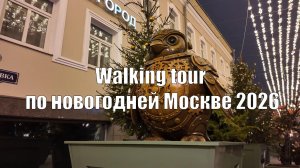 Walking tour по новогодней Москве 2026. Праздничная Москва: Манежная площадь и окрестности