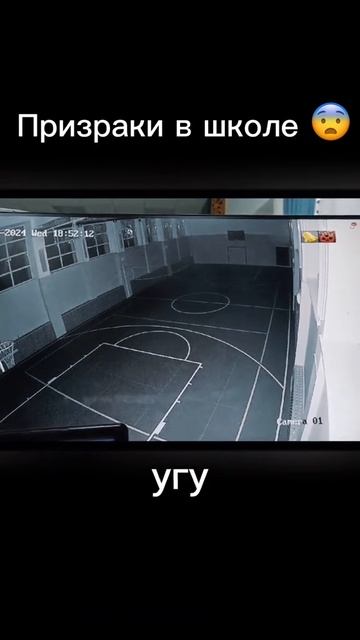 что ты такое