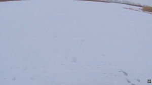 Рыбалка на Щуку с ночёвкой! Расставил жерлицы, и ждём выхода зубастой 04.12.2025г.