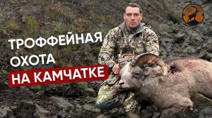 ТРОФЕЙНАЯ ОХОТА НА КАМЧАТКЕ | ОХОТА НА ЧУКОТСКОГО СНЕЖНОГО БАРАНА