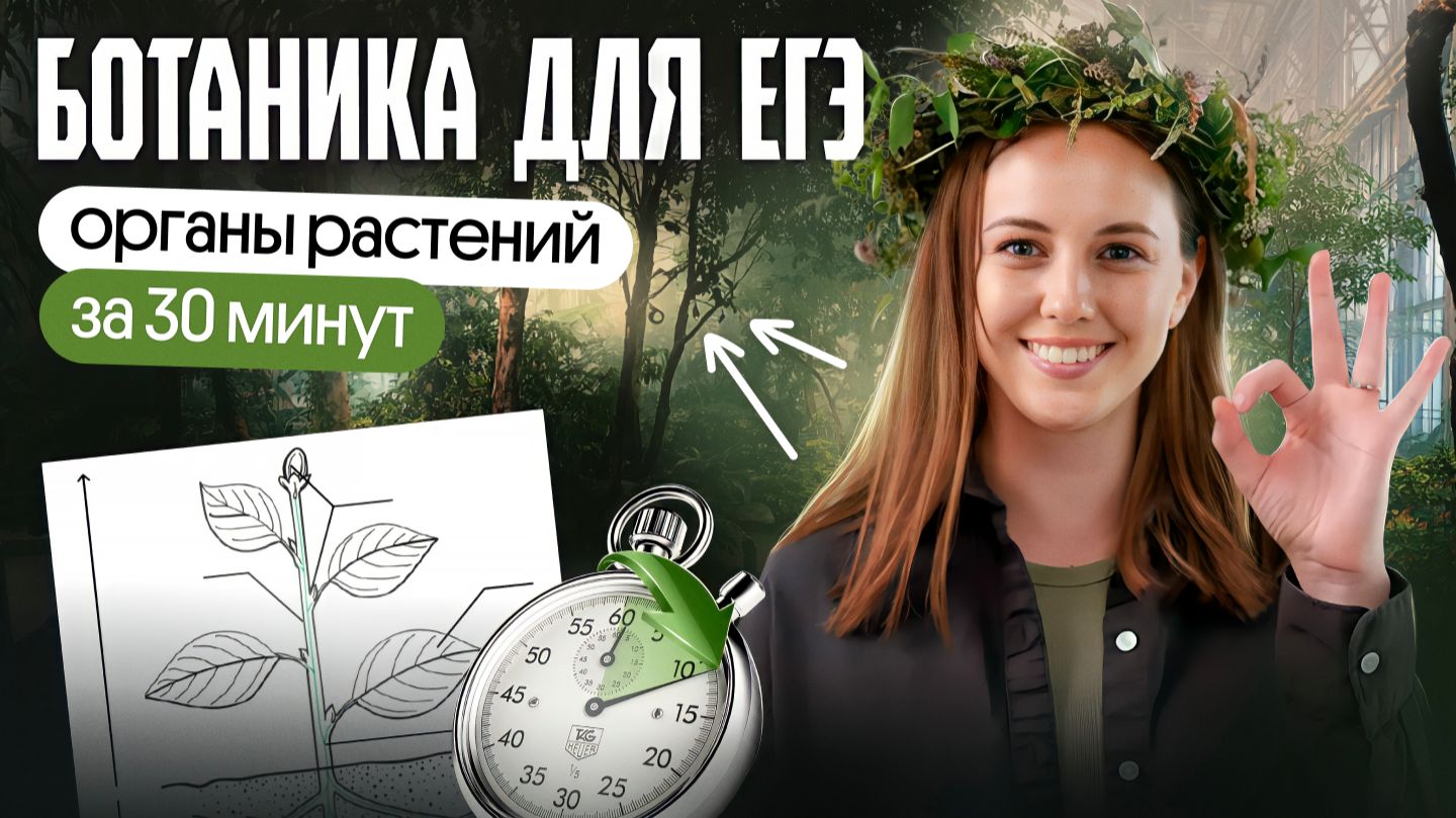 ВЕГЕТАТИВНЫЕ ОРГАНЫ РАСТЕНИЙ ЗА 1 УРОК