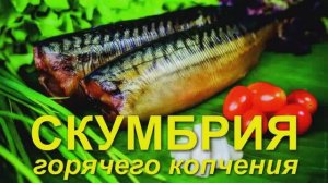 016_Скумбрия горячего копчения