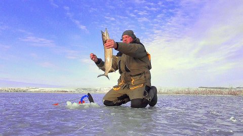 Первый лед! Рыбалка на жерлицы с подводной камерой!