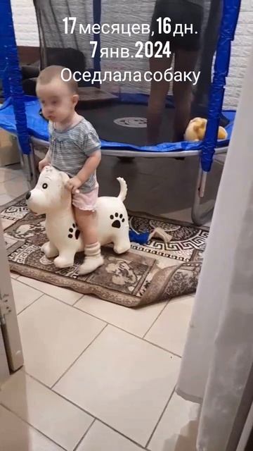 17 мес.,16 дн.Оседлала собаку.(7 янв.2024).mp4