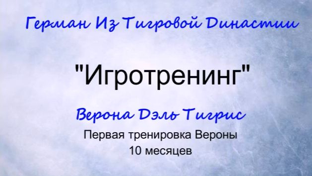 Игротренинг  Январь 2015