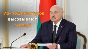 Лукашенко: Спихнуть на нашу сторону НЕ ПОЛУЧИТСЯ! // Жёсткий ответ Западу!