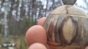 Шкатулка в декабрьском лесу с красками ушедшей осени