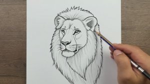 Как нарисовать Льва карандашом - Пошаговый рисунок льва