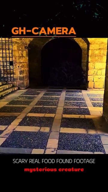 что ты такое