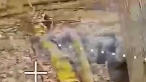 🇺🇦Косой ВСУшник принял своим хлебалом российский дрон…🇷🇺