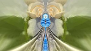 Розы на Снегу в Ледяной Галерее 6 от Киностудии Мудрого Кота Тимофея!