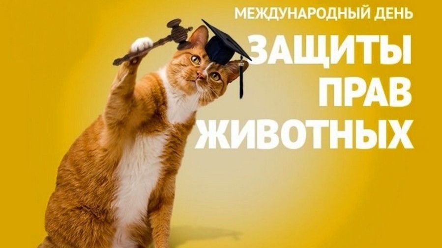 Международный день прав животных.