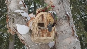 Зимний денёк 8 декабря. Южно-Сахалинск.mp4