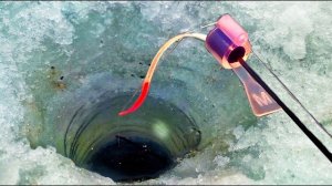 РЫБАЛКА НЕ ДЛЯ СЛАБОНЕРВНЫХ. БЕЗМОТЫЛКА🎣