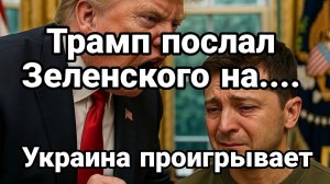 ТАМИР ШЕЙХ / ТРАМП ПОСЛАЛ ЗЕЛЕНСКОГО! новости сводки