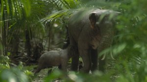 Доисторическая планета 1 сезон 2 серия (документальный сериал, 2025)