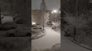 Первый снег - студия песен РоманЦай