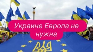 Украинские попрошайки в Европе. #новости #беженцыизукраины