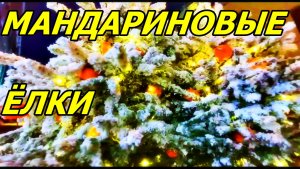 БЕЖИМ НА СТАРЫЙ АРБАТ. МОСКВА. 8 ДЕКАБРЯ 2025 ГОДА.