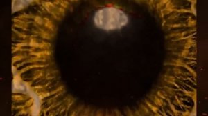 Самая запретная книга - почему её пытались уничтожить тысячелетиями