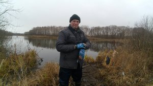 Осенняя рыбалка в декабре на спиннинг.