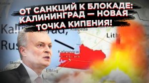 Санкционное безумие достигло апогея: ЕС готов объявить России войну из-за Калининграда.