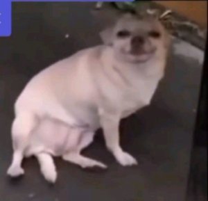 продолжение ужастиков