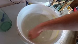 Перезапустил коловратку. Что с икрой Апистограмы и Данио