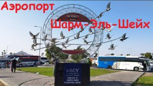 Аэропорт Шарм-Эль-Шейх * Прохождение таможни * Трансфер в отель / Египет, Шарм-Эль-Шейх