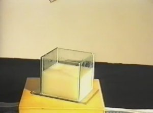 Физика. Опыты. Работа мыльной плёнки