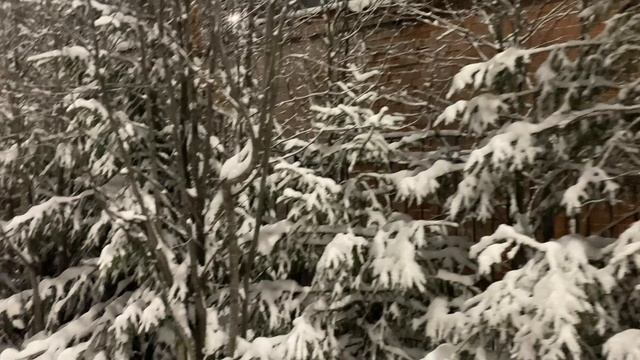 Утепляем псЫна 🐶 и гуляем в любую погоду!