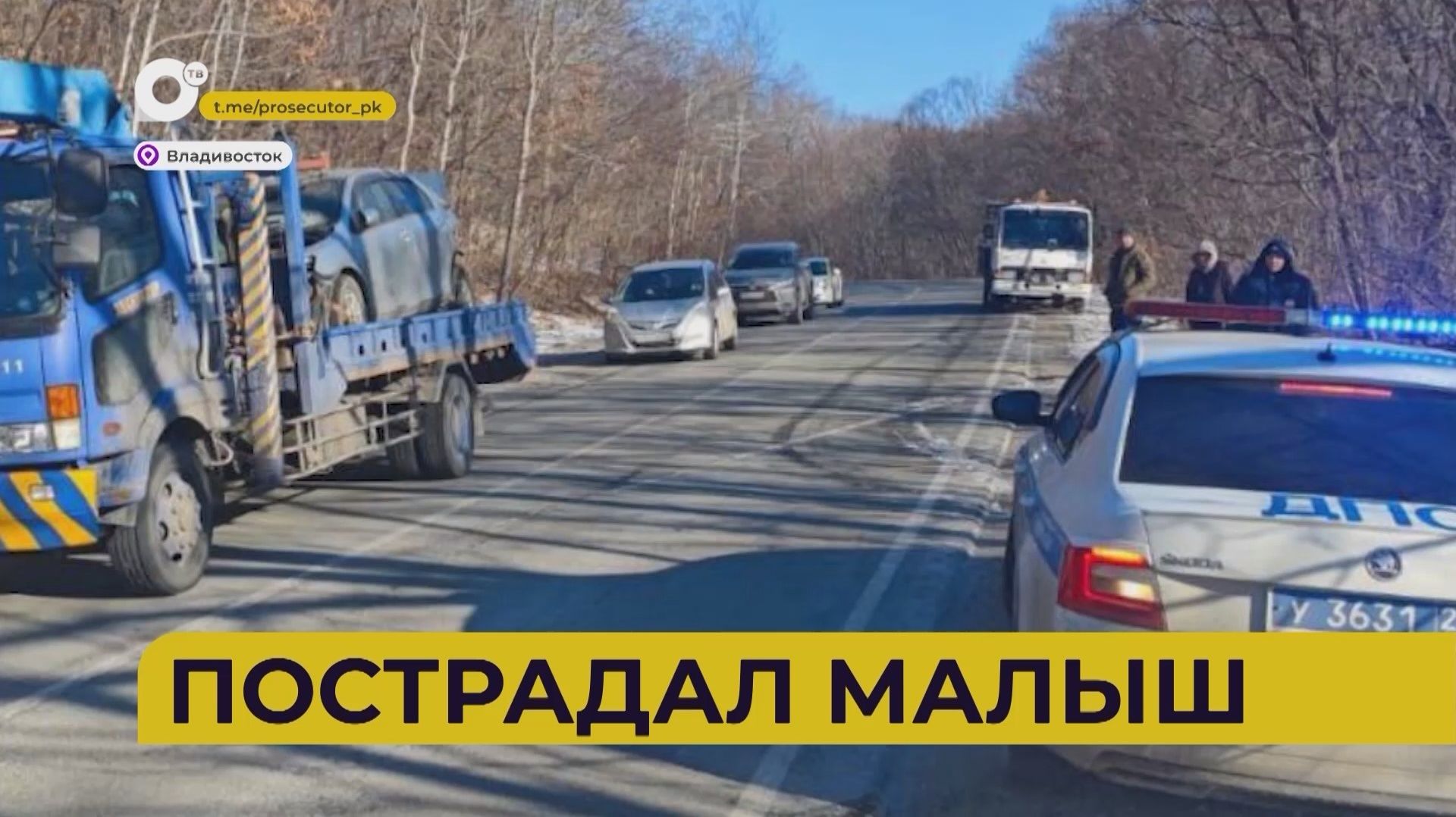 Автопатруль112 / Сбил на зебре / 8 лет за взятку / Чёрные лесорубы / 09.12.25