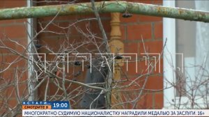 Сегодня в 19.00 в программе "Кстати": Многократно судимую националистку наградили медалью за заслуги