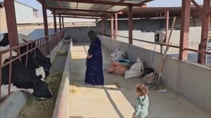 Третий день с момента исчезновения Азаде и Сами. Обращение в полицию.