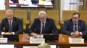 Заседание Комитета СФ по экономической политике