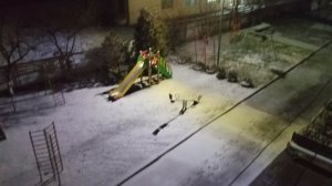 Воронежская область, Таловая. Утро 9 декабря 2025 года. Первый снег зимой.