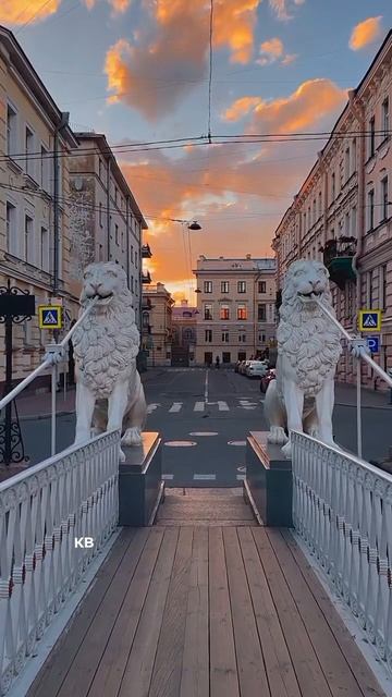 #katyboro #видео #видеооткрытка  #красивоевидео #shortvideo #shorts #short #video #viralvideo #рек