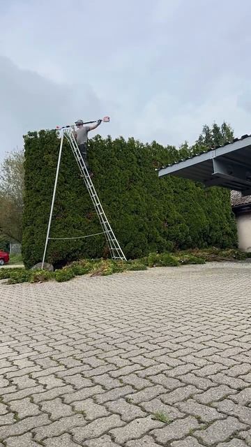 Понижение живой изгороди