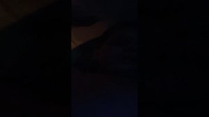 жду 3 подписчика