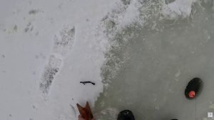 РЫБАЛКА НА ХАПУГИ. ВЕСЬ ДЕНЬ НА ЛЬДУ РАДИ ТАКОГО УЛОВА. РЫБА ЕСТЬ НО ЕЁ НУЖНО НАЙТИ