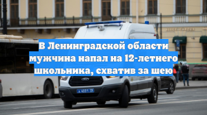 В Ленинградской области мужчина напал на 12-летнего школьника, схватив за шею