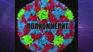 Круглый стол по проблеме Полиомиелита