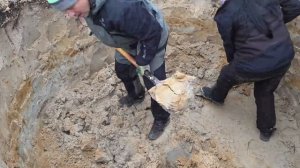 Пришла тишина на хутор.